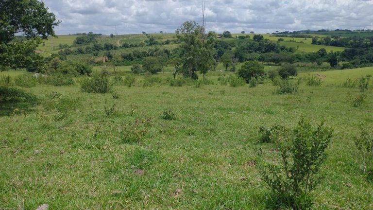 Sítio Próximo a Cidade de Rio Claro